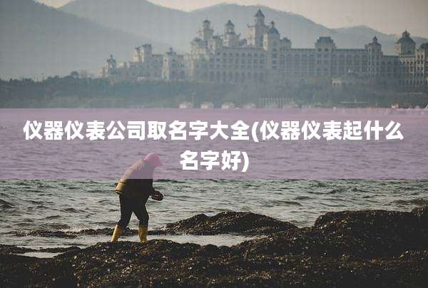 仪器仪表公司取名字大全(仪器仪表起什么名字好)