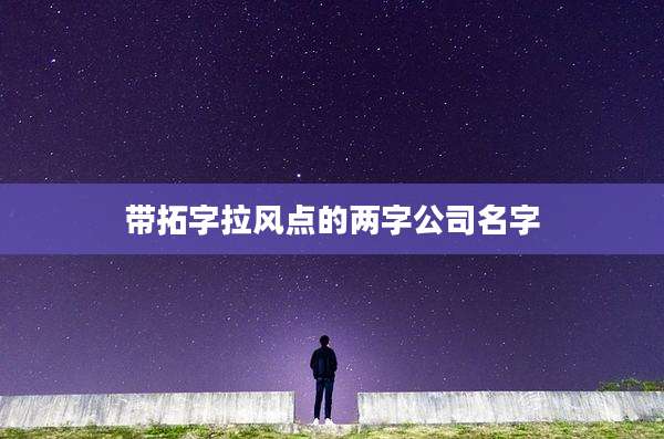 带拓字拉风点的两字公司名字