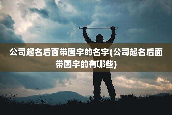 公司起名后面带图字的名字(公司起名后面带图字的有哪些)