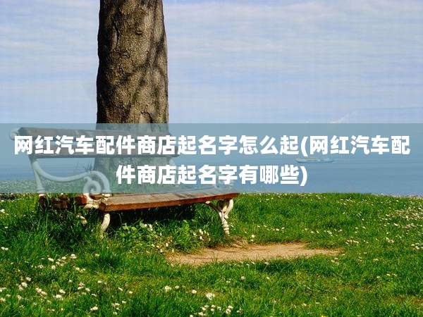 网红汽车配件商店起名字怎么起(网红汽车配件商店起名字有哪些)