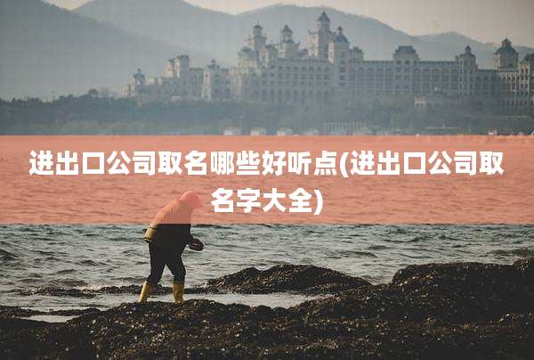 进出口公司取名哪些好听点(进出口公司取名字大全)
