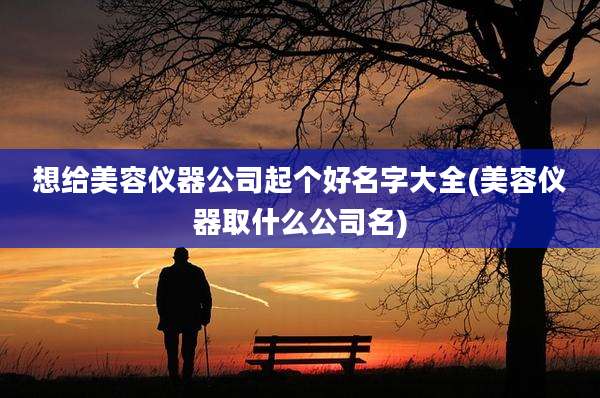 想给美容仪器公司起个好名字大全(美容仪器取什么公司名)
