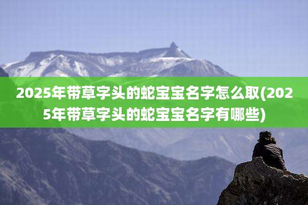 2025年带草字头的蛇宝宝名字怎么取(2025年带草字头的蛇宝宝名字有哪些)