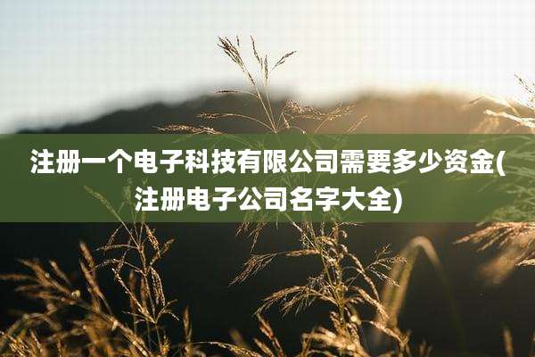 注册一个电子科技有限公司需要多少资金(注册电子公司名字大全)