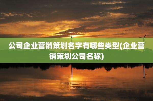 公司企业营销策划名字有哪些类型(企业营销策划公司名称)