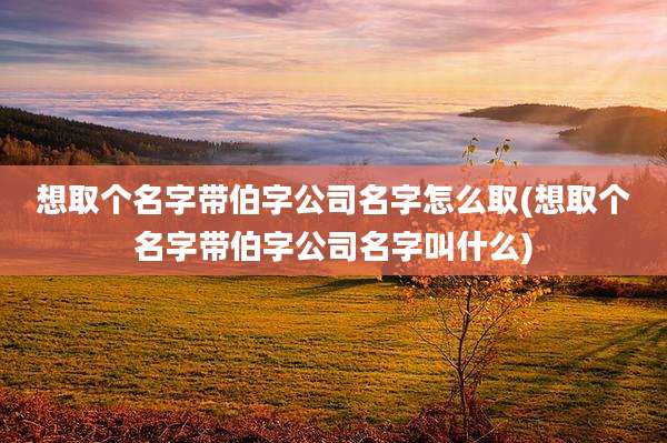 想取个名字带伯字公司名字怎么取(想取个名字带伯字公司名字叫什么)