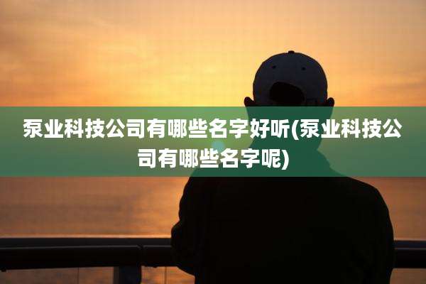 泵业科技公司有哪些名字好听(泵业科技公司有哪些名字呢)