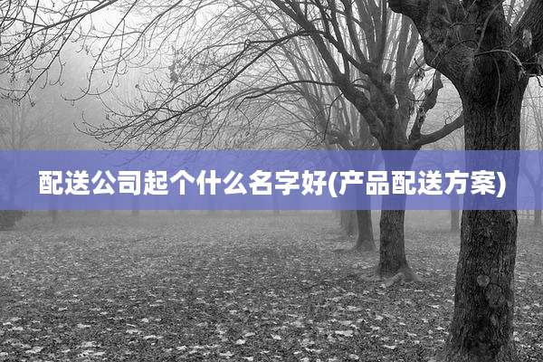 配送公司起个什么名字好(产品配送方案)