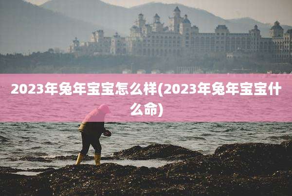 2023年兔年宝宝怎么样(2023年兔年宝宝什么命)