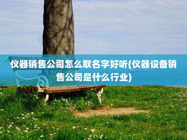 仪器销售公司怎么取名字好听(仪器设备销售公司是什么行业)