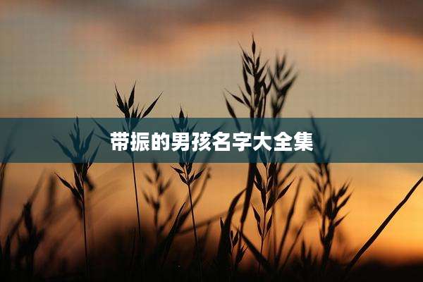 带振的男孩名字大全集