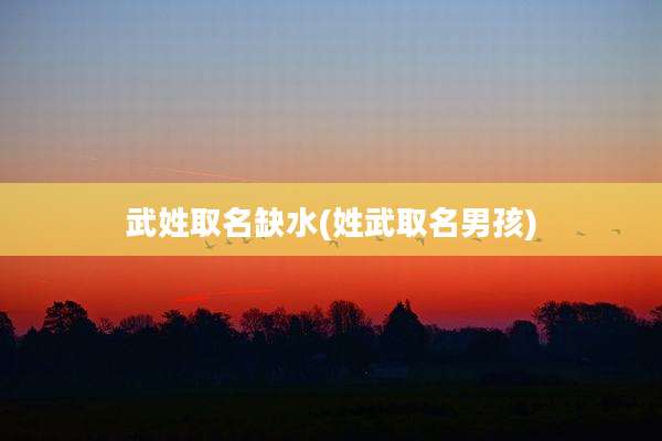 武姓取名缺水(姓武取名男孩)