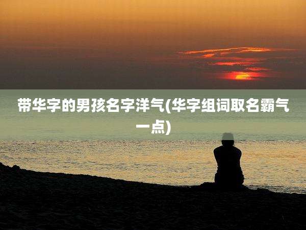 带华字的男孩名字洋气(华字组词取名霸气一点)