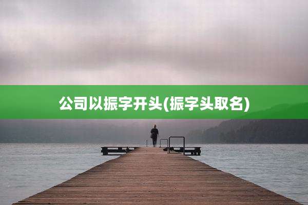 公司以振字开头(振字头取名)