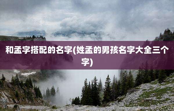 和孟字搭配的名字(姓孟的男孩名字大全三个字)