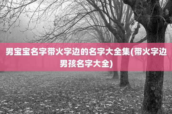 男宝宝名字带火字边的名字大全集(带火字边男孩名字大全)
