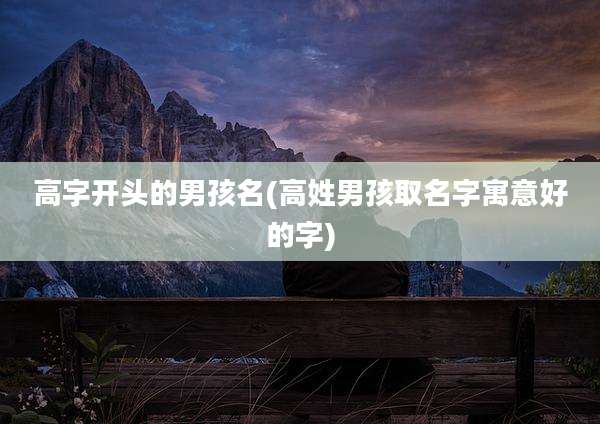 高字开头的男孩名(高姓男孩取名字寓意好的字)