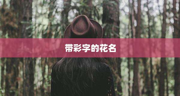 带彩字的花名
