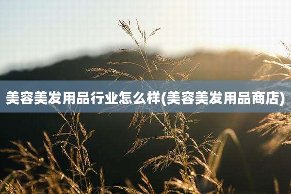 美容美发用品行业怎么样(美容美发用品商店)