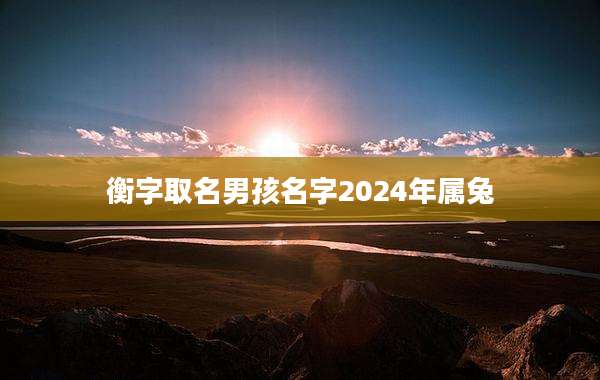 衡字取名男孩名字2024年属兔