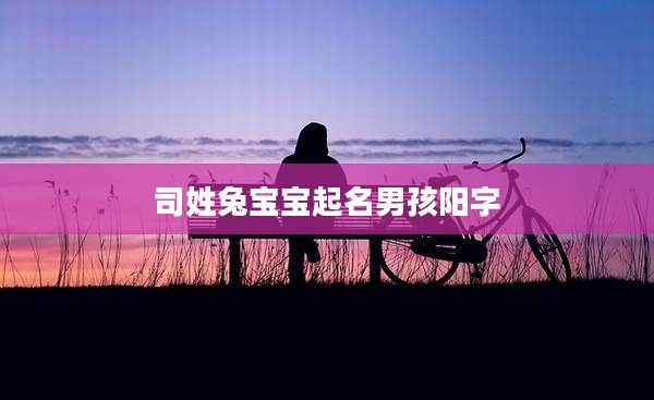 司姓兔宝宝起名男孩阳字