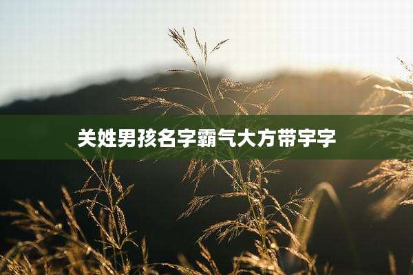 关姓男孩名字霸气大方带宇字