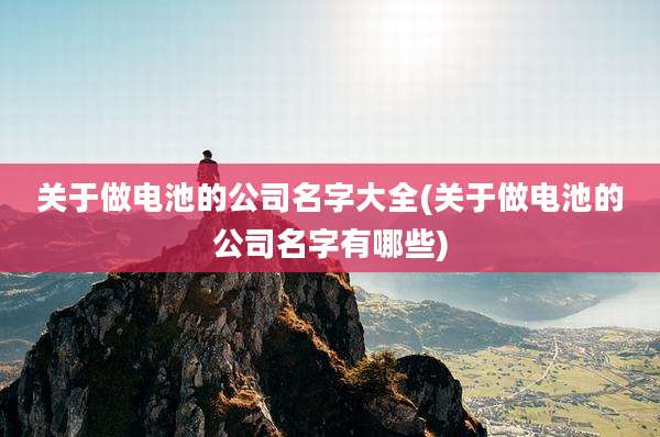 关于做电池的公司名字大全(关于做电池的公司名字有哪些)
