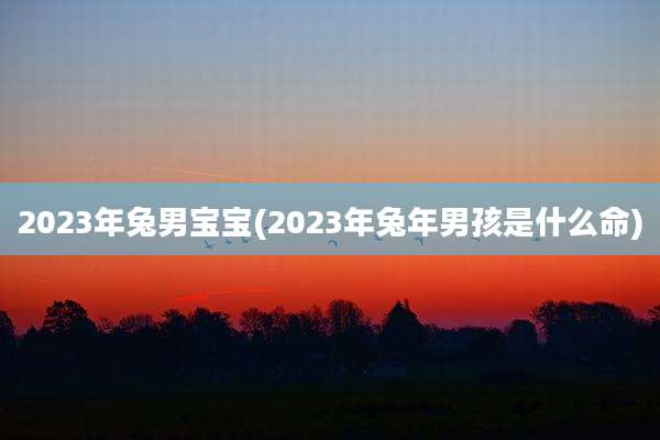 2023年兔男宝宝(2023年兔年男孩是什么命)