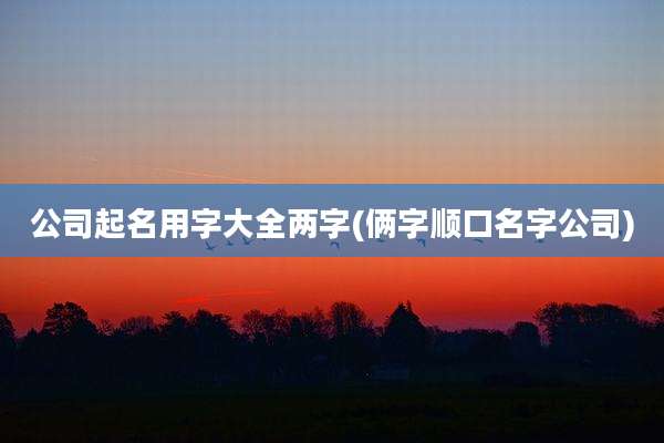 公司起名用字大全两字(俩字顺口名字公司)