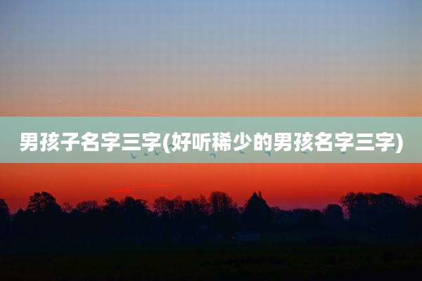 男孩子名字三字(好听稀少的男孩名字三字)