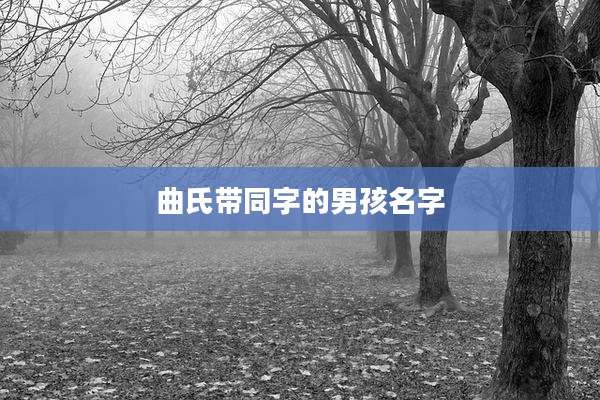 曲氏带同字的男孩名字