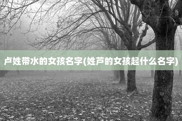 卢姓带水的女孩名字(姓芦的女孩起什么名字)