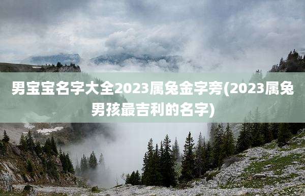 男宝宝名字大全2023属兔金字旁(2023属兔男孩最吉利的名字)