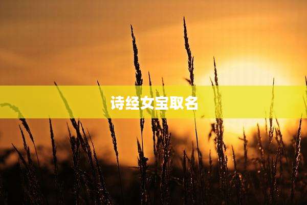 诗经女宝取名