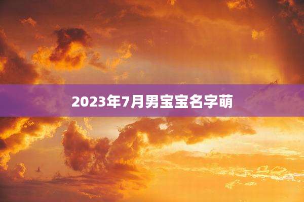 2023年7月男宝宝名字萌