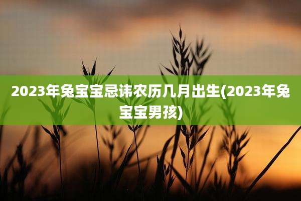 2023年兔宝宝忌讳农历几月出生(2023年兔宝宝男孩)