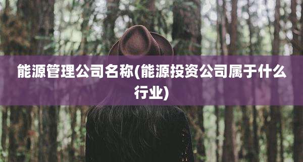 能源管理公司名称(能源投资公司属于什么行业)