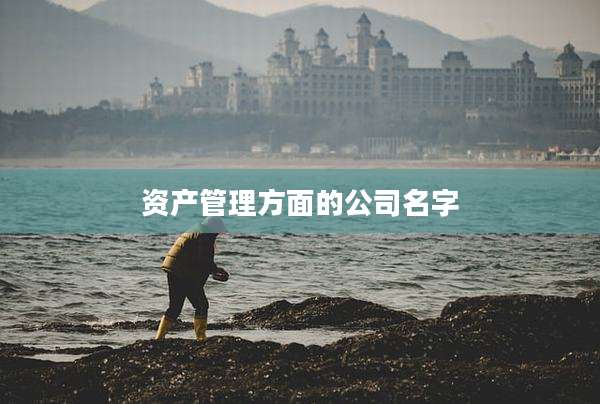 资产管理方面的公司名字