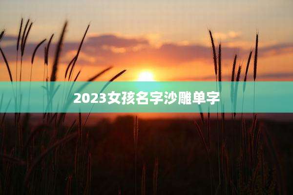 2023女孩名字沙雕单字