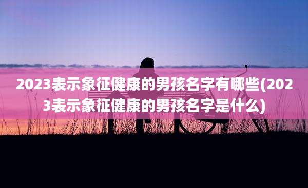 2023表示象征健康的男孩名字有哪些(2023表示象征健康的男孩名字是什么)