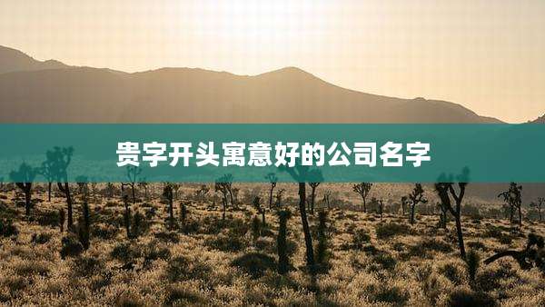 贵字开头寓意好的公司名字