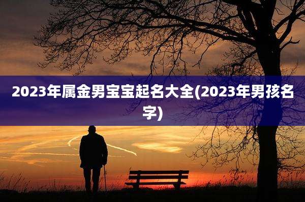 2023年属金男宝宝起名大全(2023年男孩名字)
