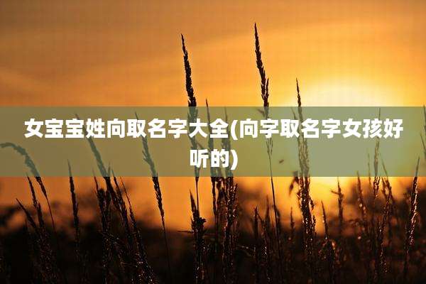 女宝宝姓向取名字大全(向字取名字女孩好听的)