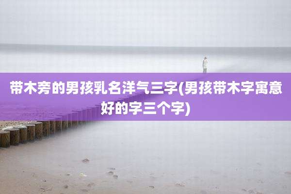 带木旁的男孩乳名洋气三字(男孩带木字寓意好的字三个字)