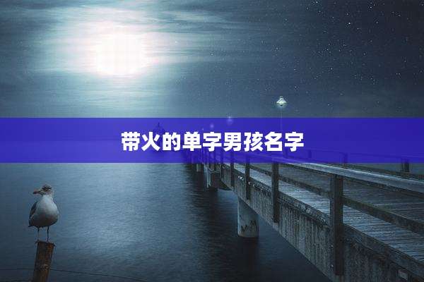 带火的单字男孩名字