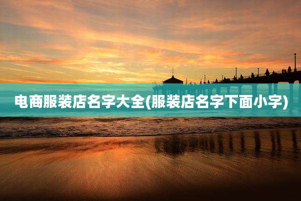 电商服装店名字大全(服装店名字下面小字)