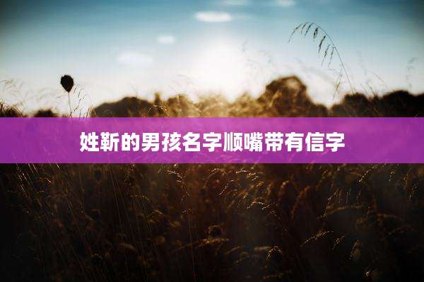姓靳的男孩名字顺嘴带有信字