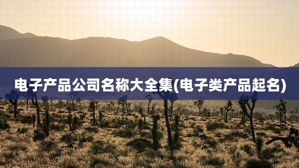 电子产品公司名称大全集(电子类产品起名)