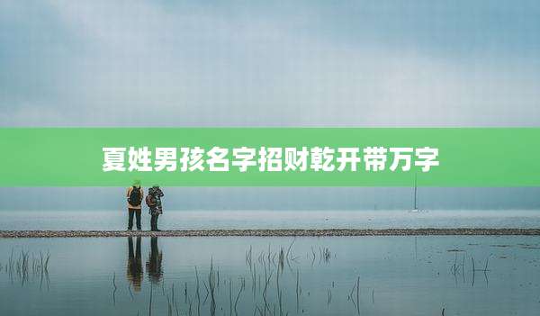 夏姓男孩名字招财乾开带万字