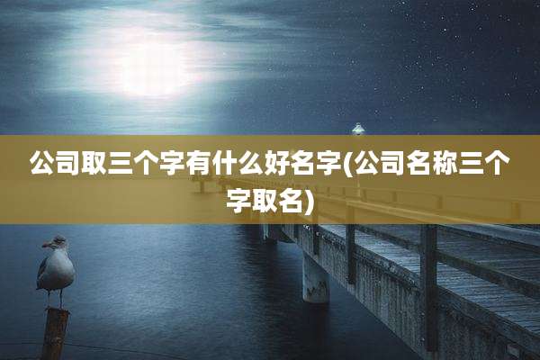 公司取三个字有什么好名字(公司名称三个字取名)